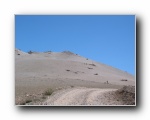 2003-09-20 White (75)